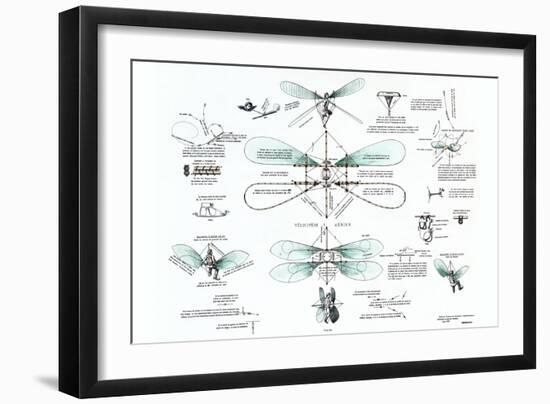 Airborne Bicycle-Jacques Bourcart-Framed Art Print