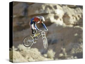 Airborne Bicyclist-null-Stretched Canvas