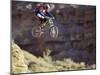 Airborne Bicyclist-null-Mounted Photographic Print