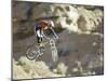 Airborne Bicyclist-null-Mounted Photographic Print