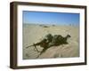 Airborne Division Paratrooper Setting Up flanking position in Desert Shield Gulf Crisis-Ssg Corkran-Framed Photographic Print