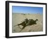 Airborne Division Paratrooper Setting Up flanking position in Desert Shield Gulf Crisis-Ssg Corkran-Framed Photographic Print