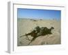 Airborne Division Paratrooper Setting Up flanking position in Desert Shield Gulf Crisis-Ssg Corkran-Framed Photographic Print