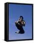 Airborne Martial Artist-null-Framed Stretched Canvas