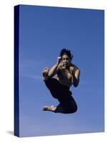 Airborne Martial Artist-null-Stretched Canvas