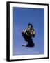 Airborne Martial Artist-null-Framed Photographic Print