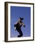 Airborne Martial Artist-null-Framed Photographic Print