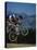 Airborne Mountain Bikes-null-Stretched Canvas