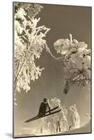 Airborne Skier Amid Frost-Laden Trees-null-Mounted Art Print