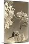 Airborne Skier Amid Frost-Laden Trees-null-Mounted Art Print