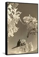 Airborne Skier Amid Frost-Laden Trees-null-Framed Stretched Canvas