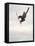 Airborne Snowboarder-null-Framed Stretched Canvas