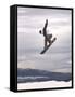 Airborne Snowboarder-null-Framed Stretched Canvas