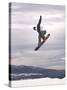 Airborne Snowboarder-null-Stretched Canvas