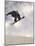 Airborne Snowboarder-null-Mounted Photographic Print