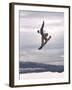 Airborne Snowboarder-null-Framed Photographic Print