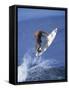 Airborne Surfer-null-Framed Stretched Canvas