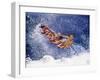 Airborne Surfer-null-Framed Photographic Print