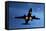 Airbus A320 Airliner Landing At Night-Detlev Van Ravenswaay-Framed Stretched Canvas