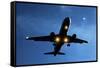 Airbus A320 Airliner Landing At Night-Detlev Van Ravenswaay-Framed Stretched Canvas