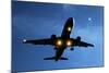 Airbus A320 Airliner Landing At Night-Detlev Van Ravenswaay-Mounted Premium Photographic Print