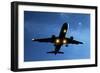 Airbus A320 Airliner Landing At Night-Detlev Van Ravenswaay-Framed Photographic Print