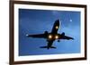 Airbus A320 Airliner Landing At Night-Detlev Van Ravenswaay-Framed Photographic Print