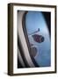 Airbus A340 Aircraft, View Out of the Window with Engine and Wing-Jon Arnold-Framed Premium Photographic Print