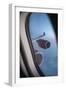 Airbus A340 Aircraft, View Out of the Window with Engine and Wing-Jon Arnold-Framed Premium Photographic Print