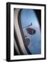 Airbus A340 Aircraft, View Out of the Window with Engine and Wing-Jon Arnold-Framed Photographic Print