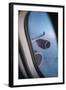 Airbus A340 Aircraft, View Out of the Window with Engine and Wing-Jon Arnold-Framed Photographic Print