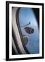 Airbus A340 Aircraft, View Out of the Window with Engine and Wing-Jon Arnold-Framed Photographic Print