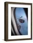 Airbus A340 Aircraft, View Out of the Window with Engine and Wing-Jon Arnold-Framed Photographic Print