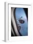 Airbus A340 Aircraft, View Out of the Window with Engine and Wing-Jon Arnold-Framed Photographic Print