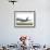 Airbus A380, the World's Largest Passenger Plane, Takes Off Successfully on its Maiden Flight-null-Framed Photographic Print displayed on a wall