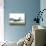 Airbus A380, the World's Largest Passenger Plane, Takes Off Successfully on its Maiden Flight-null-Mounted Photographic Print displayed on a wall