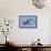Airbus A400M Atlast Transport Aircraft-Stocktrek Images-Framed Stretched Canvas displayed on a wall