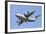 Airbus A400M Atlast Transport Aircraft-Stocktrek Images-Framed Photographic Print