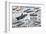 Aircraft Carrier Evolution-null-Framed Art Print