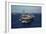 Aircraft Carrier USS Ronald Reagan Leads Allied Ships on Pacific Ocean, July 2010-null-Framed Photo