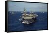 Aircraft Carrier USS Ronald Reagan Leads Allied Ships on Pacific Ocean, July 2010-null-Framed Stretched Canvas