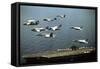 Aircraft Fly over the Nuclear-Powered Aircraft Carrier USS George Washington, 1992-null-Framed Stretched Canvas
