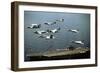 Aircraft Fly over the Nuclear-Powered Aircraft Carrier USS George Washington, 1992-null-Framed Photo