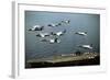 Aircraft Fly over the Nuclear-Powered Aircraft Carrier USS George Washington, 1992-null-Framed Photo