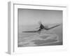 Aircraft Flying Straight On-Dmitri Kessel-Framed Photographic Print