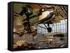 Aircraft in Smithsonian Air and Space Museum, Washington DC, USA-Scott T. Smith-Framed Stretched Canvas