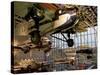 Aircraft in Smithsonian Air and Space Museum, Washington DC, USA-Scott T. Smith-Stretched Canvas