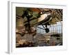 Aircraft in Smithsonian Air and Space Museum, Washington DC, USA-Scott T. Smith-Framed Photographic Print