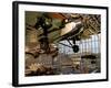 Aircraft in Smithsonian Air and Space Museum, Washington DC, USA-Scott T. Smith-Framed Photographic Print