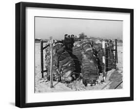 Aircraft Observer Post, WWII-Robert Hunt-Framed Photographic Print